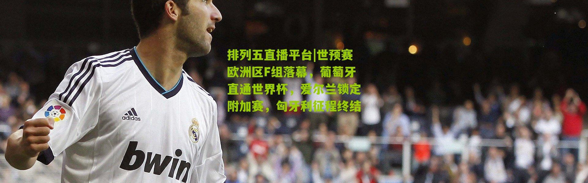 排列五直播平台|世预赛欧洲区F组落幕，葡萄牙直通世界杯，爱尔兰锁定附加赛，匈牙利征程终结