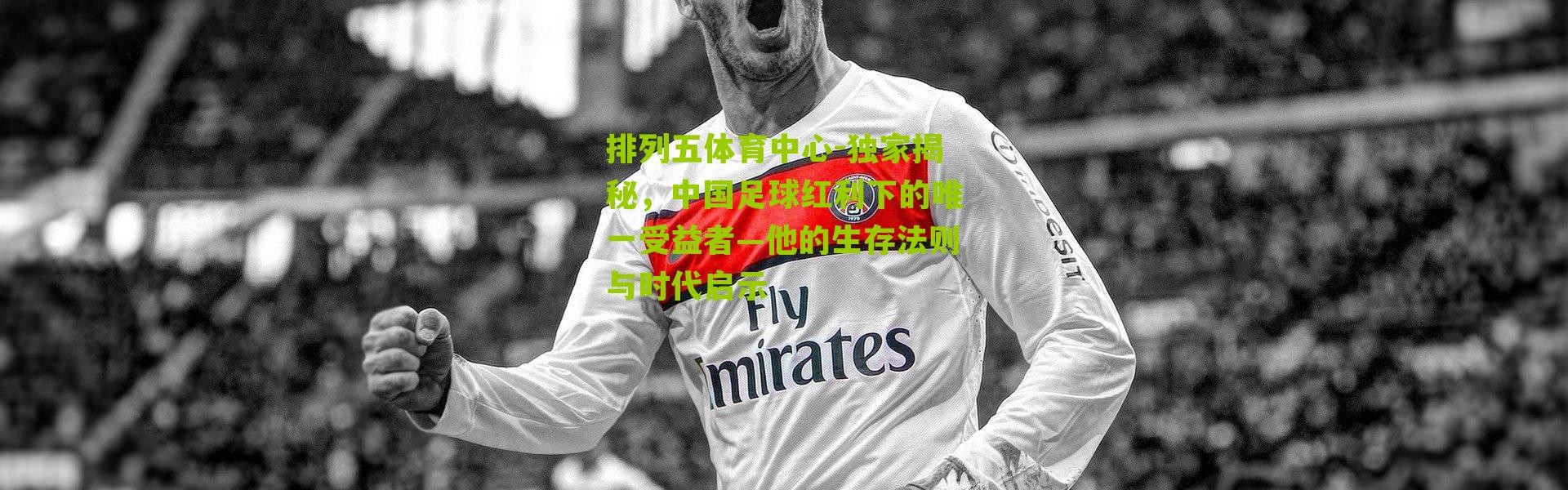 排列五体育中心-独家揭秘，中国足球红利下的唯一受益者—他的生存法则与时代启示