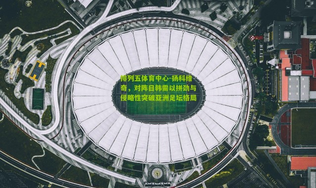 排列五体育中心-扬科维奇，对阵日韩需以拼劲与侵略性突破亚洲足坛格局