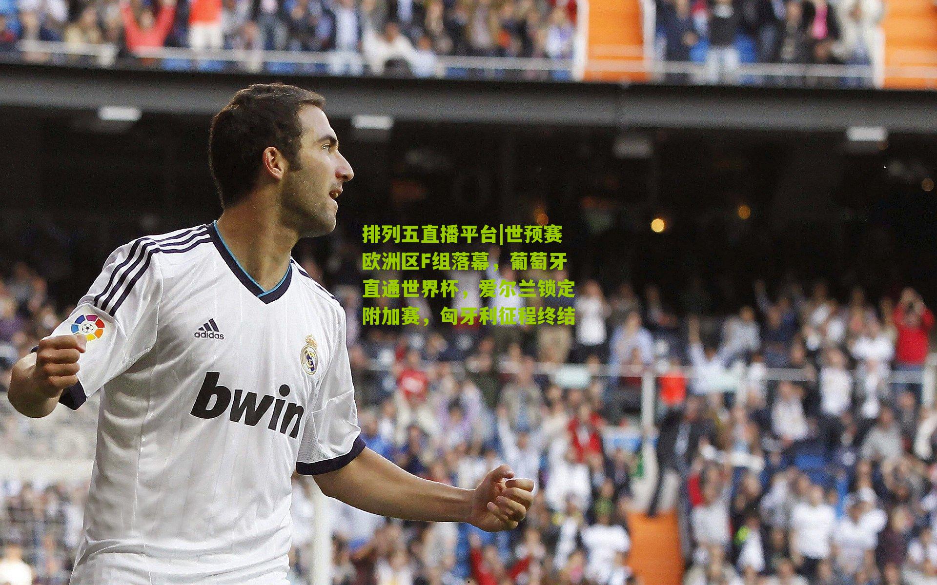 世预赛欧洲区F组落幕，葡萄牙直通世界杯，爱尔兰锁定附加赛，匈牙利征程终结