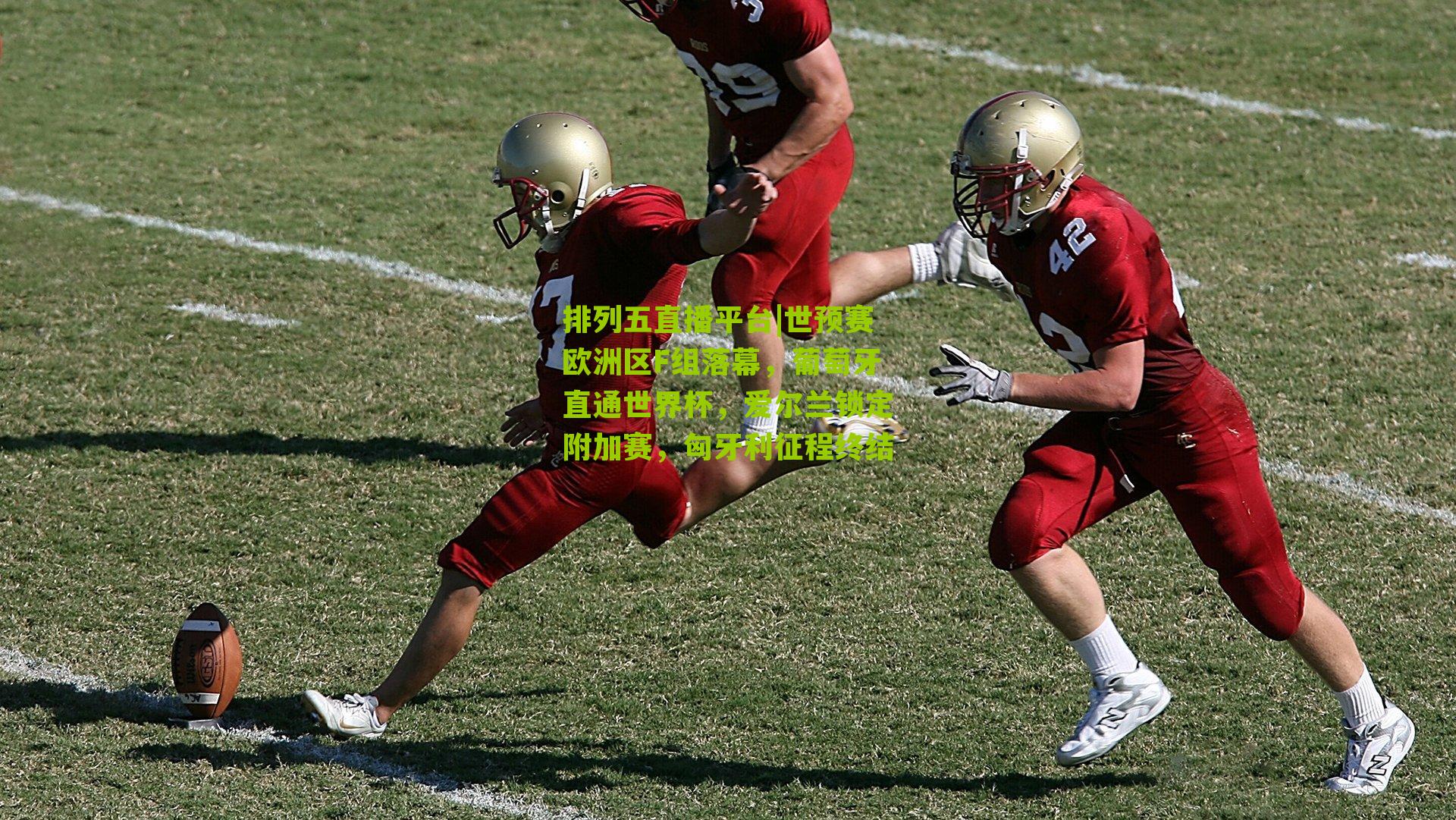 世预赛欧洲区F组落幕，葡萄牙直通世界杯，爱尔兰锁定附加赛，匈牙利征程终结