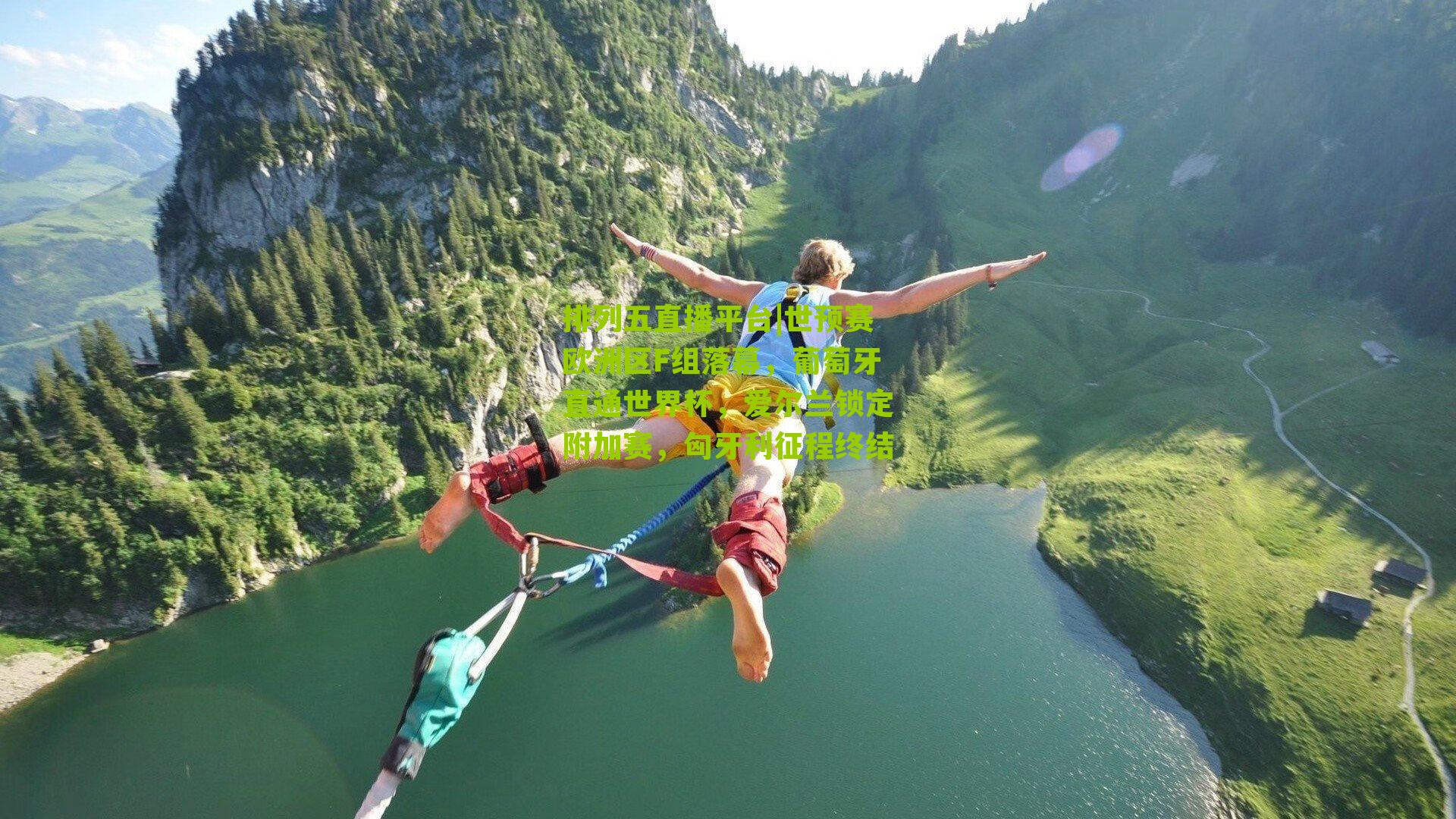 世预赛欧洲区F组落幕，葡萄牙直通世界杯，爱尔兰锁定附加赛，匈牙利征程终结